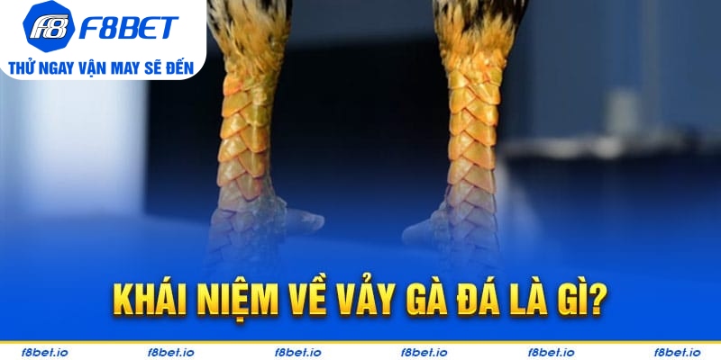 Vảy Gà Thới Hoa Đăng - Bí Kíp Lựa Chiến Kê Tốt F8bet - CLYVO.BLOG