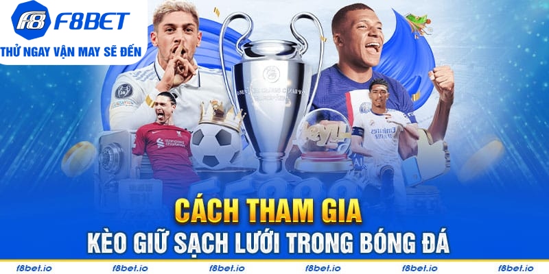 Bí Quyết Bắt Kèo Giữ Sạch Lưới Cực Hiệu Quả Từ Chuyên Gia - CLYVO.BLOG