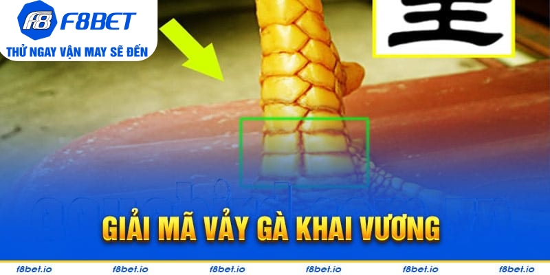 Bật Mí Vảy Gà Khai Vương Và Cách Nhận Biết Chúng Ra Sao? - CLYVO.BLOG