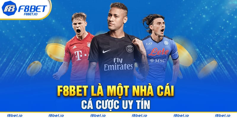 Thông Tin Những Câu Hỏi Thường Gặp Tại Nhà Cái F8bet 2026 - CLYVO.BLOG