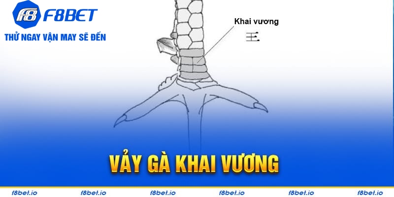 Bật Mí Vảy Gà Khai Vương Và Cách Nhận Biết Chúng Ra Sao? - CLYVO.BLOG