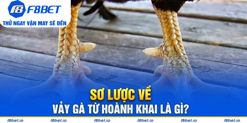 Vảy Gà Tứ Hoành Khai Và Những Điều Cần Biết 2026 - CLYVO.BLOG