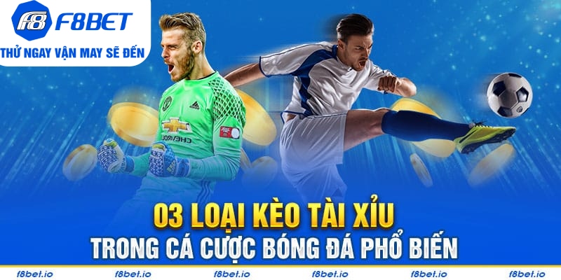 Những Điều Cần Biết Về Kèo Tài Xỉu Dành Cho Người Chơi Mới - CLYVO.BLOG