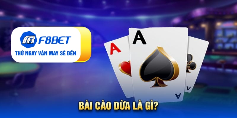 Cẩm Nang Kiến Thức Về Bài Cào Dừa Dành Cho Tân Thủ F8bet - CLYVO.BLOG