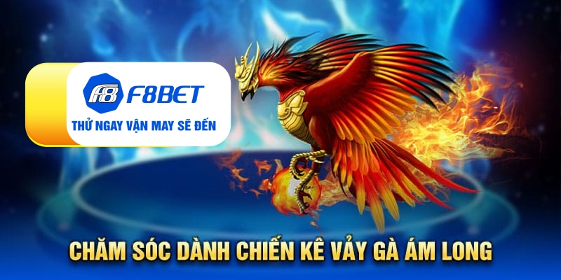 Vảy gà ám long - Đặc điểm nhận biết linh kê quý hiếm - CLYVO.BLOG
