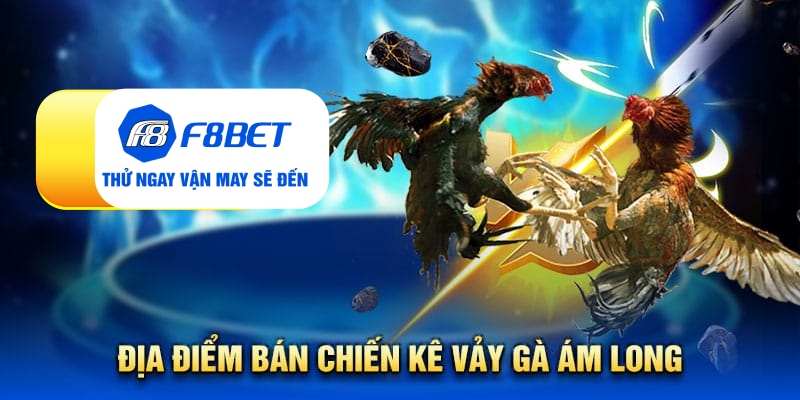 Vảy gà ám long - Đặc điểm nhận biết linh kê quý hiếm - CLYVO.BLOG