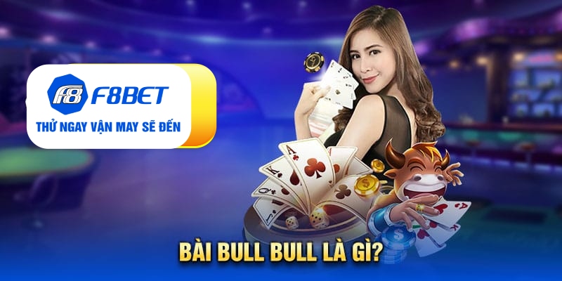 Kiến thức về bài bull bull chắc chắn tân thủ chưa biết - CLYVO.BLOG