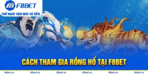 Casino F8bet | Thiên Đường Giải Trí Sòng Bài Trực Tuyến 2026 - CLYVO.BLOG