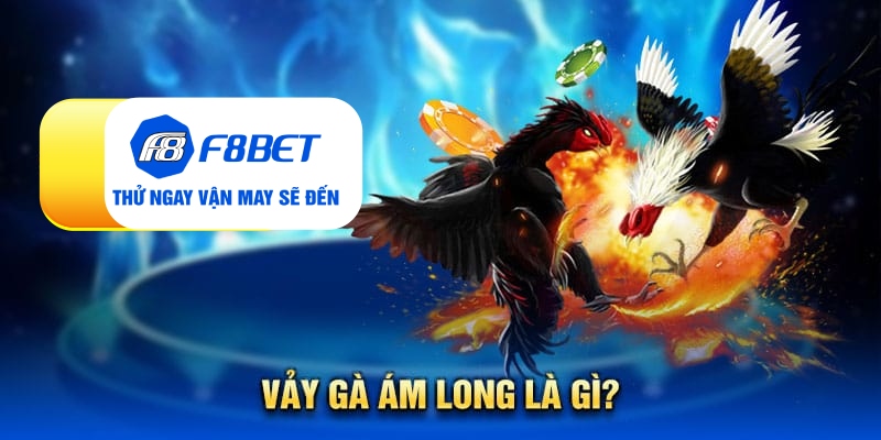 Vảy gà ám long - Đặc điểm nhận biết linh kê quý hiếm - CLYVO.BLOG
