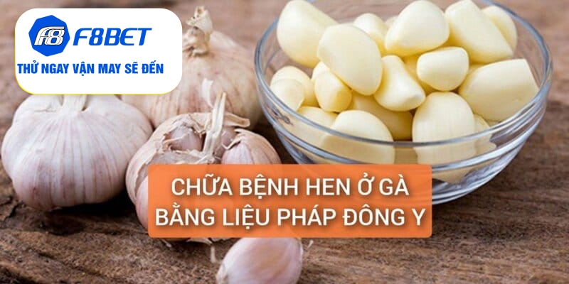 Chữa Bệnh Hen Ở Gà Điều Trị Dứt Điểm Trong 5 Ngày - f8bet - CLYVO.BLOG