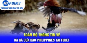 Đá Gà F8bet | Sảnh Cược Gà Đá Uy Tín Cho Các Kê Thủ - CLYVO.BLOG