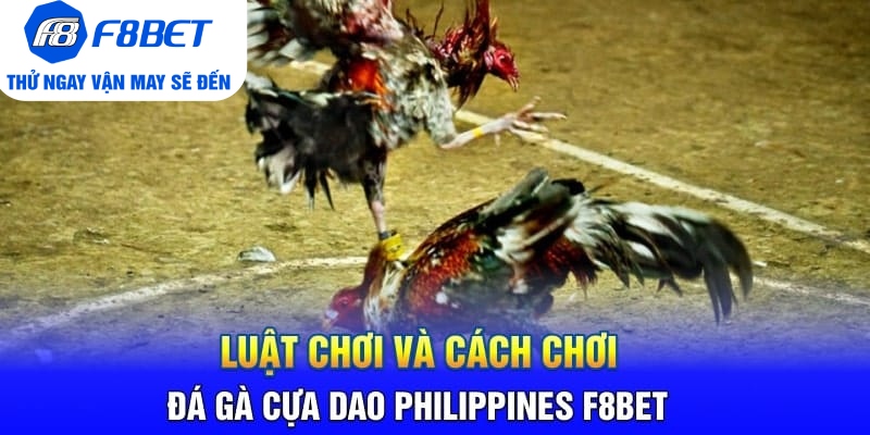Toàn Bộ Thông Tin Về Đá Gà Cựa Dao Philippines Tại F8BET - CLYVO.BLOG