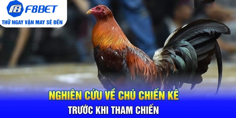 Toàn Bộ Thông Tin Về Đá Gà Cựa Dao Philippines Tại F8BET - CLYVO.BLOG