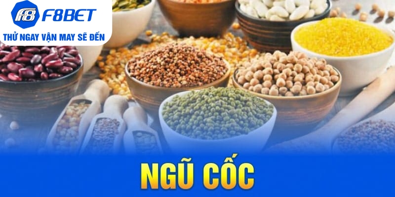 Top 7 Loại Thức Ăn Cho Gà Đá Chất Lượng Trên Thị Trường - CLYVO.BLOG