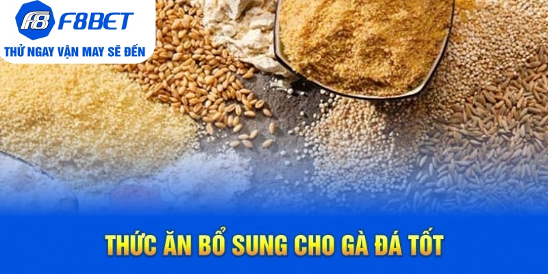 Top 7 Loại Thức Ăn Cho Gà Đá Chất Lượng Trên Thị Trường - CLYVO.BLOG