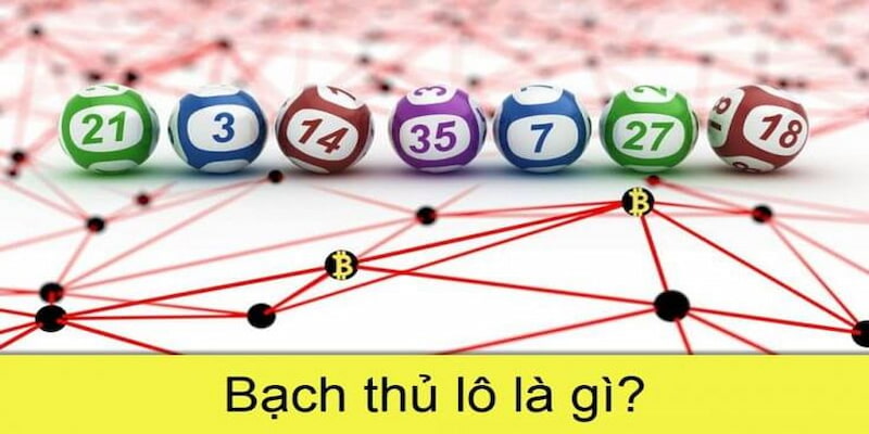 Bạch Thủ Lô Là Gì? Kinh Nghiệm Bắt Lô Bạch Thủ Tại F8Bet - CLYVO.BLOG
