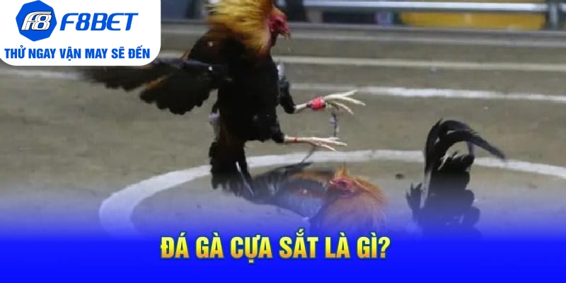 Đá Gà Cựa Sắt Là Gì? Mẹo Hay Và Hiệu Quả Khi Chơi Đá Gà - CLYVO.BLOG