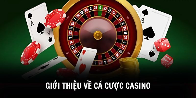 Hướng Dẫn Cá Cược Casino Chi Tiết Cho Trải Nghiệm Đỉnh Cao - CLYVO.BLOG