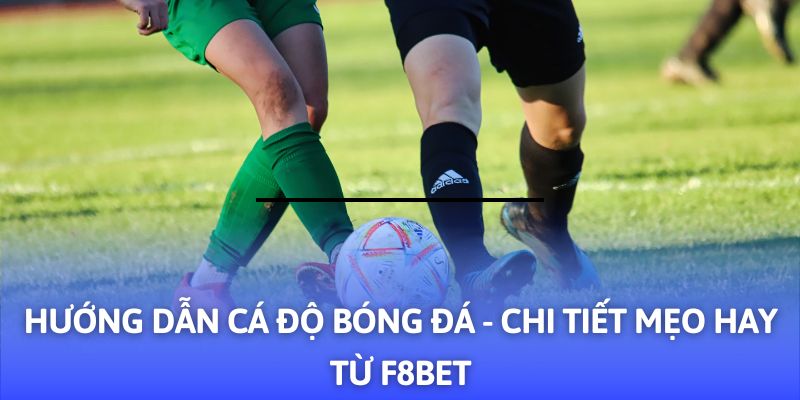 Hướng Dẫn Cá Độ Bóng Đá - 03+ Mẹo Hay Từ F8BET - CLYVO.BLOG