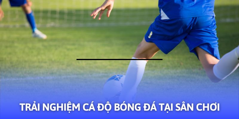 Hướng Dẫn Cá Độ Bóng Đá - 03+ Mẹo Hay Từ F8BET - CLYVO.BLOG