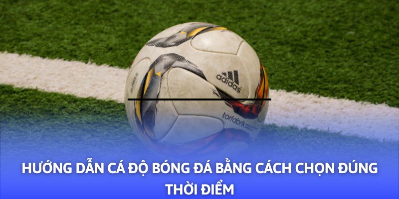 Hướng Dẫn Cá Độ Bóng Đá - 03+ Mẹo Hay Từ F8BET - CLYVO.BLOG
