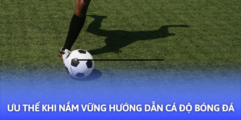 Hướng Dẫn Cá Độ Bóng Đá - 03+ Mẹo Hay Từ F8BET - CLYVO.BLOG