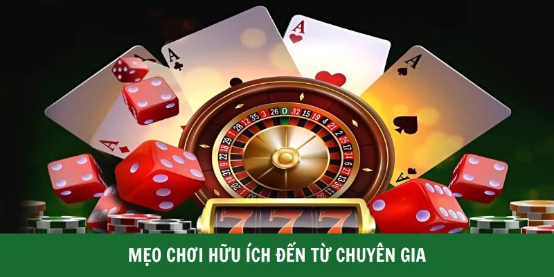Hướng Dẫn Cá Cược Casino Chi Tiết Cho Trải Nghiệm Đỉnh Cao - CLYVO.BLOG