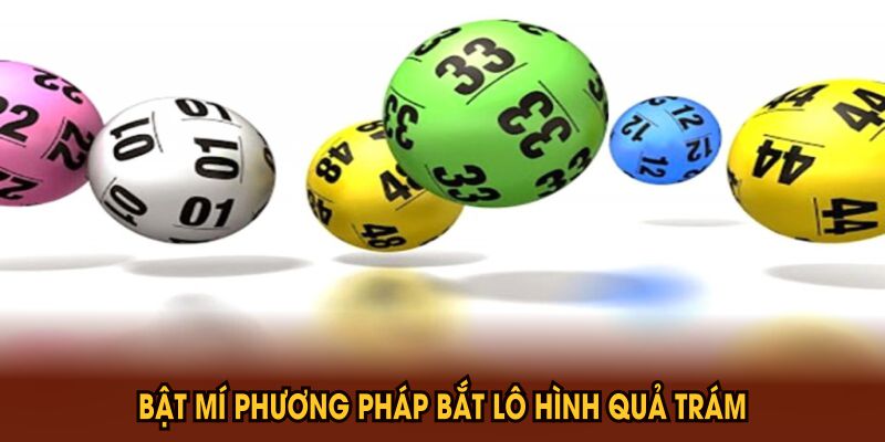 Phương Pháp Bắt Lô Hình Quả Trám Hiệu Quả Bạn Nên Biết - CLYVO.BLOG