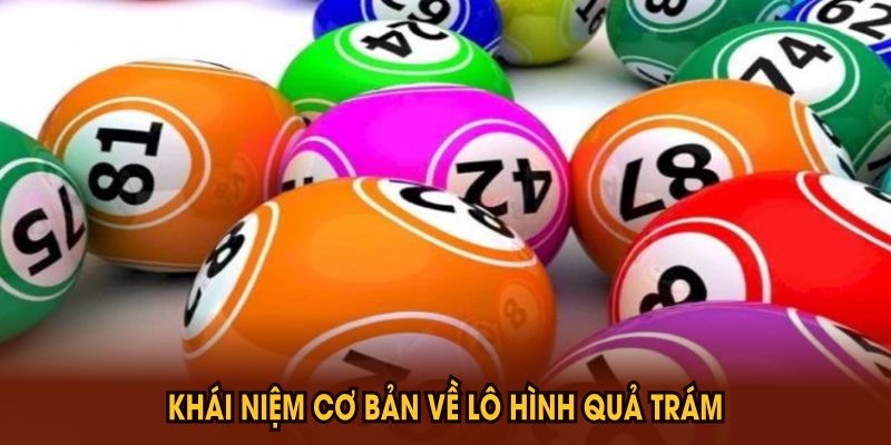 Phương Pháp Bắt Lô Hình Quả Trám Hiệu Quả Bạn Nên Biết - CLYVO.BLOG