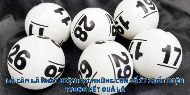 Lô Câm - Thao Tác Chơi Độc Đáo Nhất Tại F8BET Năm 2026 - CLYVO.BLOG