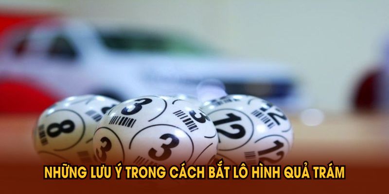 Phương Pháp Bắt Lô Hình Quả Trám Hiệu Quả Bạn Nên Biết - CLYVO.BLOG