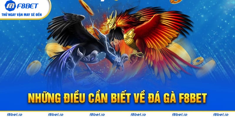 Đá Gà F8bet | Sảnh Cược Gà Đá Uy Tín Cho Các Kê Thủ - CLYVO.BLOG