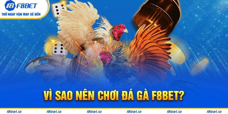 Đá Gà F8bet | Sảnh Cược Gà Đá Uy Tín Cho Các Kê Thủ - CLYVO.BLOG